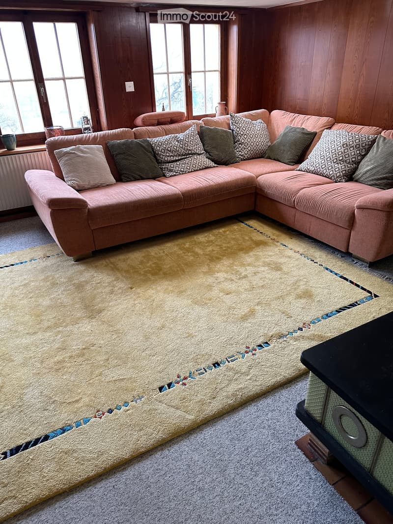 Living room with a pink sectional sofa, multiple patterned pillows, a large area rug, and a coffee table.