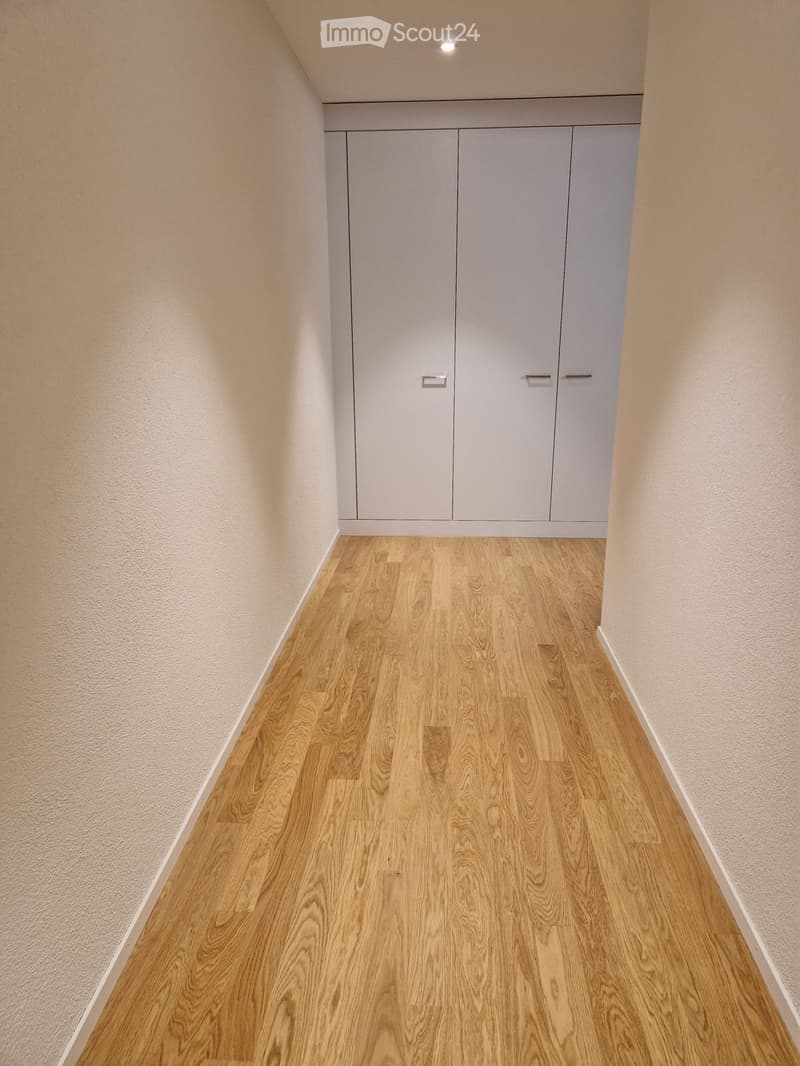 A clean, modern hallway with light wooden flooring and grey built-in storage cabinets, featuring a sleek and minimalist design.