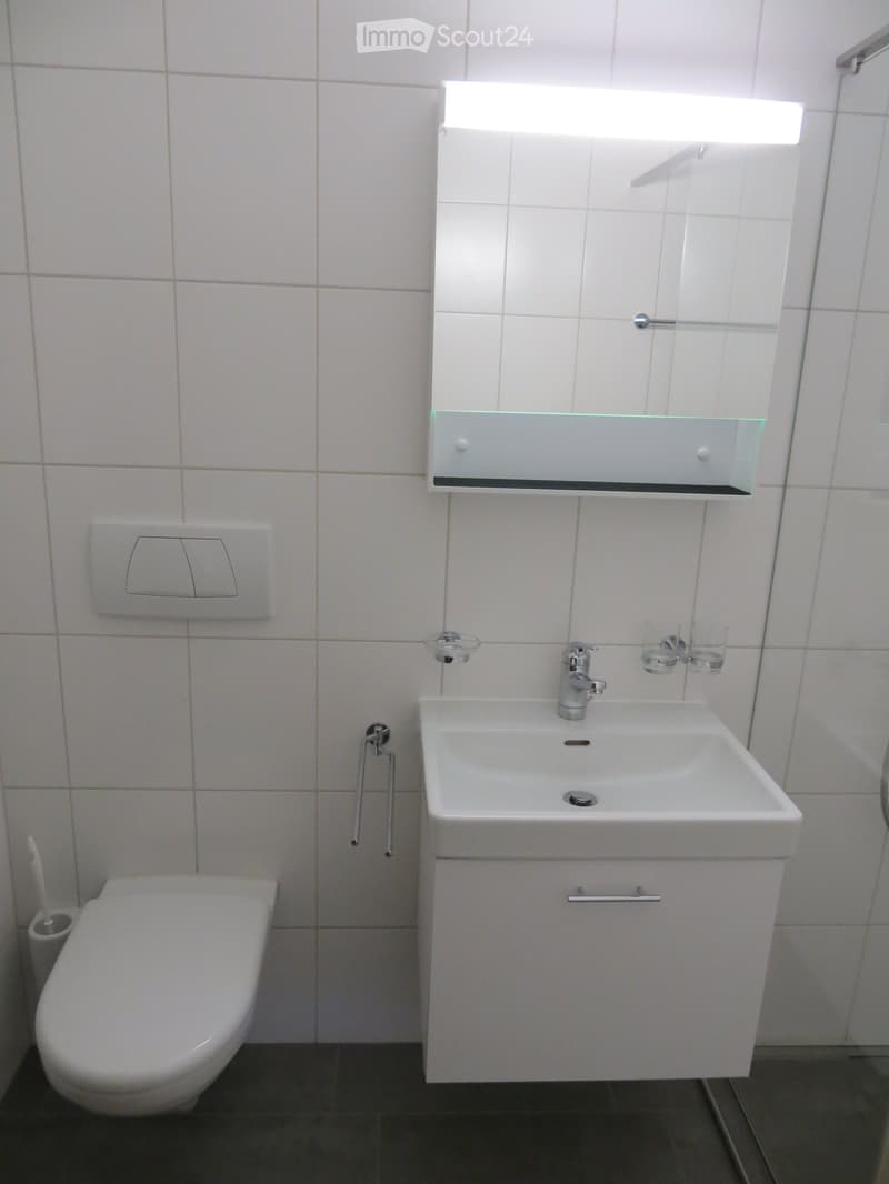 Modern bathroom with white tiles, a sink with a modern faucet, a mirror with built-in storage, and a toilet. The sink has a sleek design with a chrome faucet and a small cabinet underneath.