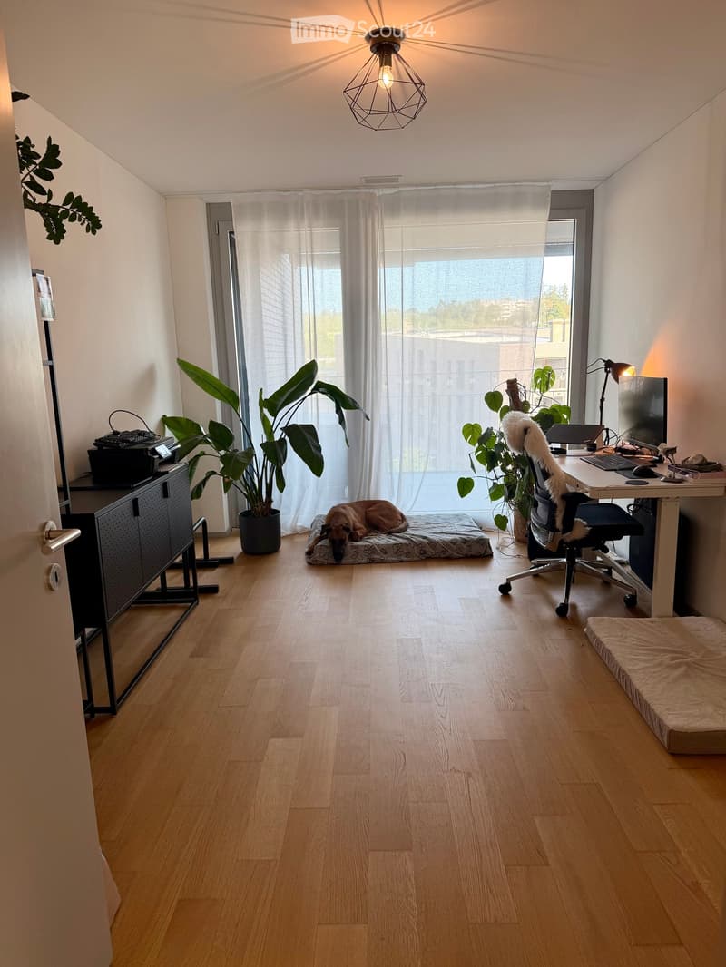 A modern, well-lit room with wooden flooring, large windows, and a view. Features include a desk with a chair, a dog bed, potted plants, and a cabinet.