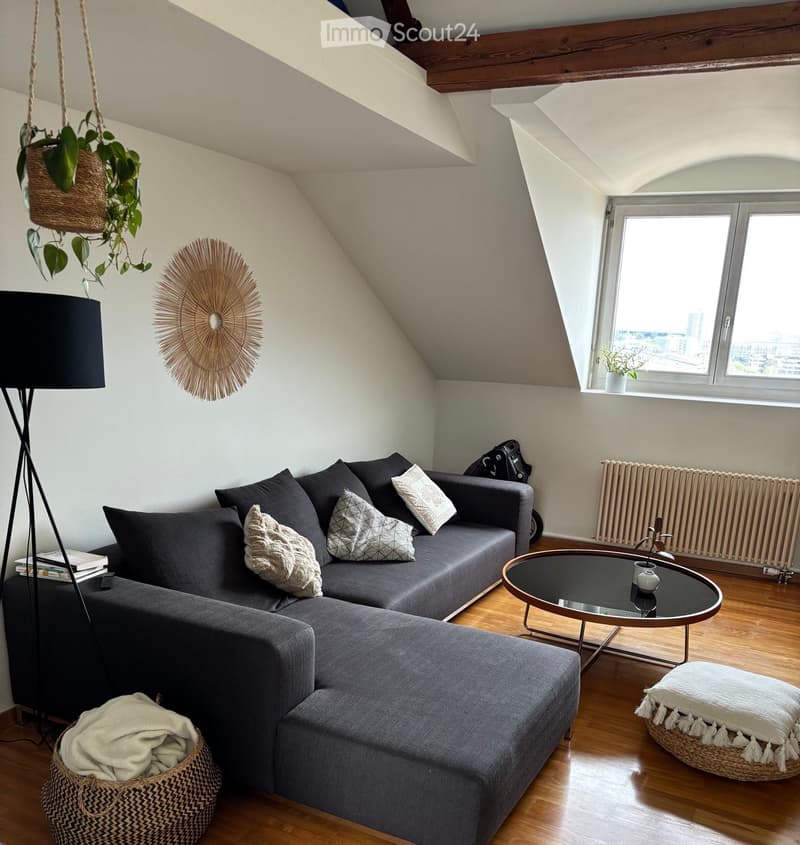 Modern living room with a grey sectional sofa, decorative pillows, a round glass coffee table, a floor lamp, a hanging plant, and a woven wall decor piece.