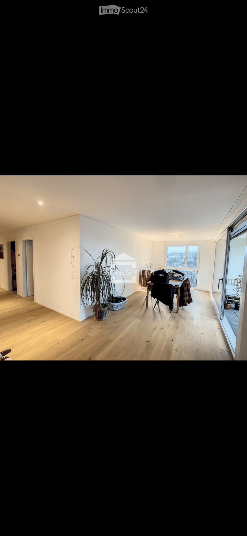 Bright, open room with light wooden flooring, white walls, and large windows. Includes a small table with chairs, a potted plant, and a coat rack near the entrance.