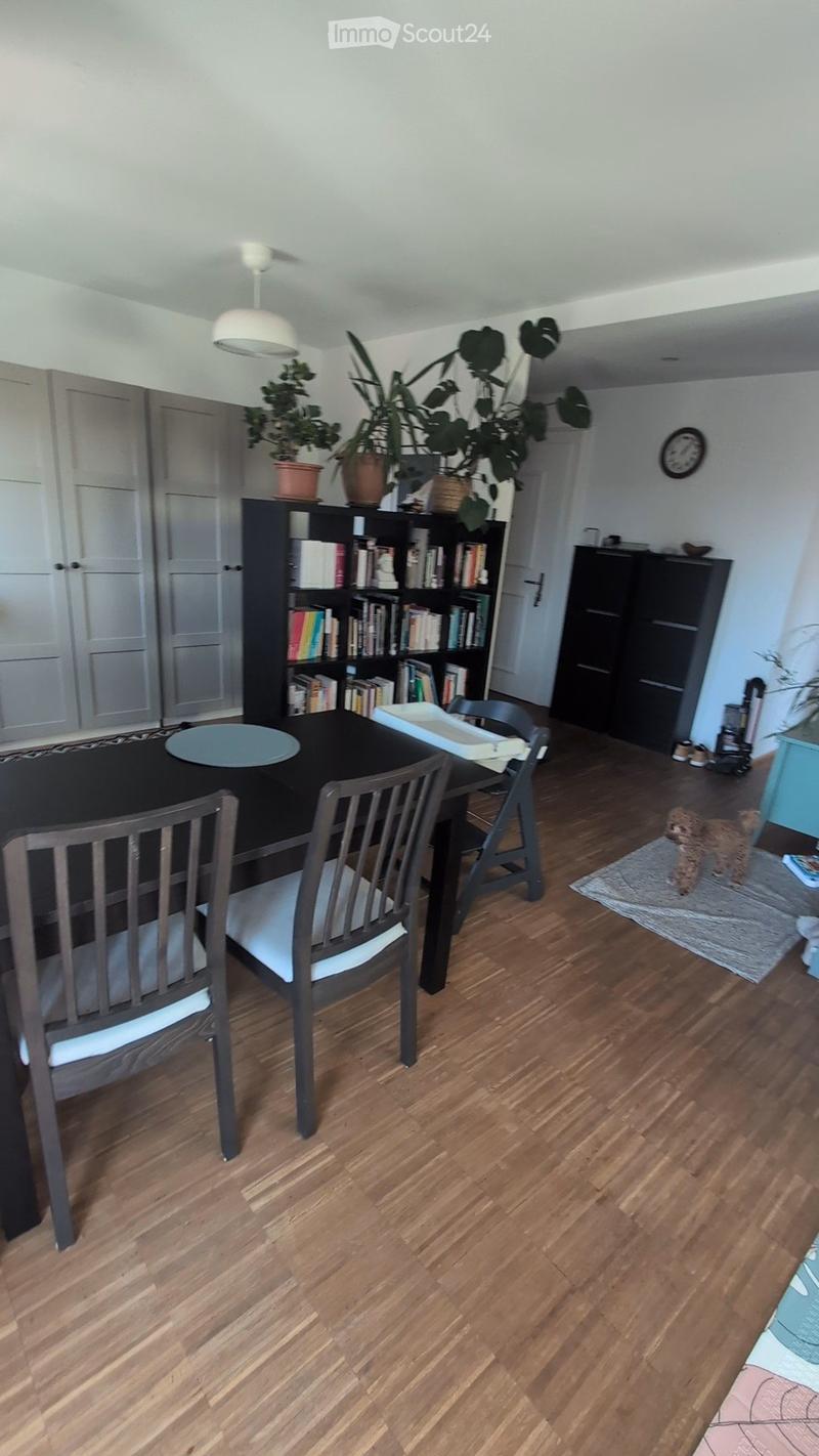 Dining area with wooden floor, black dining table, chairs, bookshelf, baby chair, and plants.