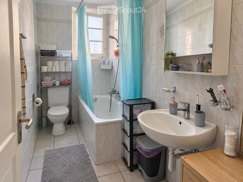 Bathroom with a toilet, bathtub, sink, mirror, and various toiletries. Includes a shelf with storage boxes, a trash bin, and a bathroom rug.