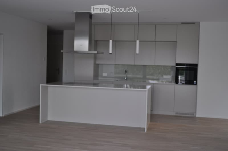 Modern kitchen with grey cabinetry, a central island, and a stainless steel range hood. The space features a sleek design with a wooden floor and pendant lights.