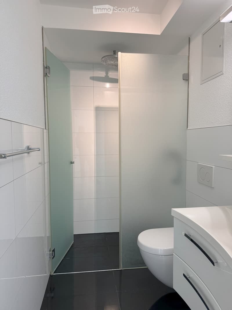 Modern bathroom with white tiles, a glass-enclosed shower, a toilet, and a sink with a cabinet.