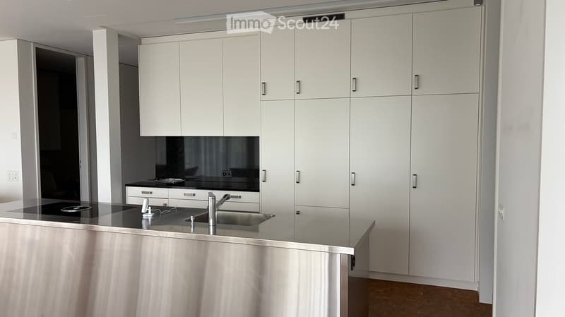 Modern kitchen with white cabinets, stainless steel countertop, and sink.