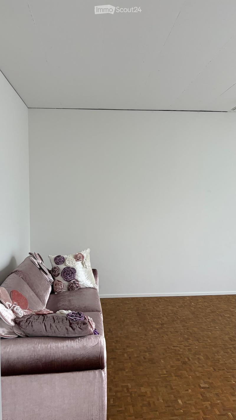A modern living room with a single sofa, decorative pillows, and a wooden floor.