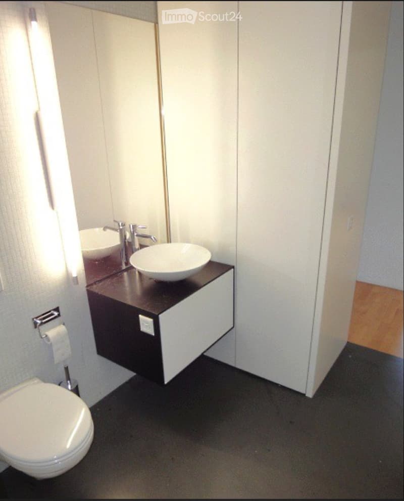 Modern bathroom with a dark countertop sink, white bowl sink, chrome faucets, a toilet, and a mirrored cabinet.