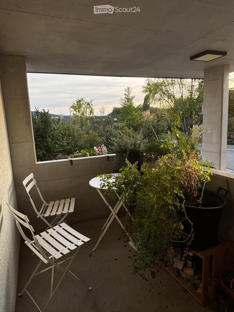 2.5 Zimmer Wohnung in Frauenfeld zu vermieten (2)