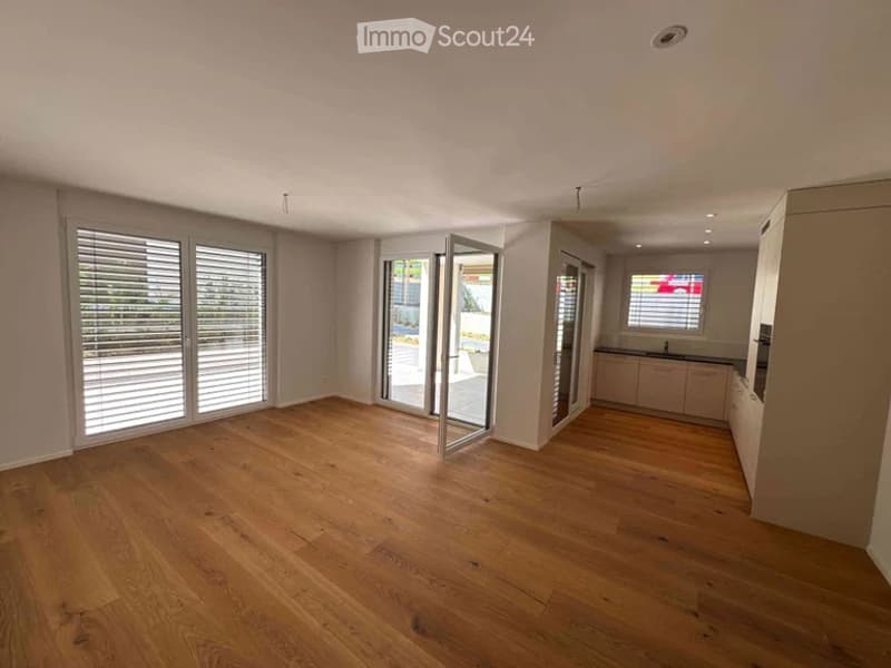 Open-plan space with wooden flooring, large windows with blinds, and a small kitchen area with cabinets and a sink.