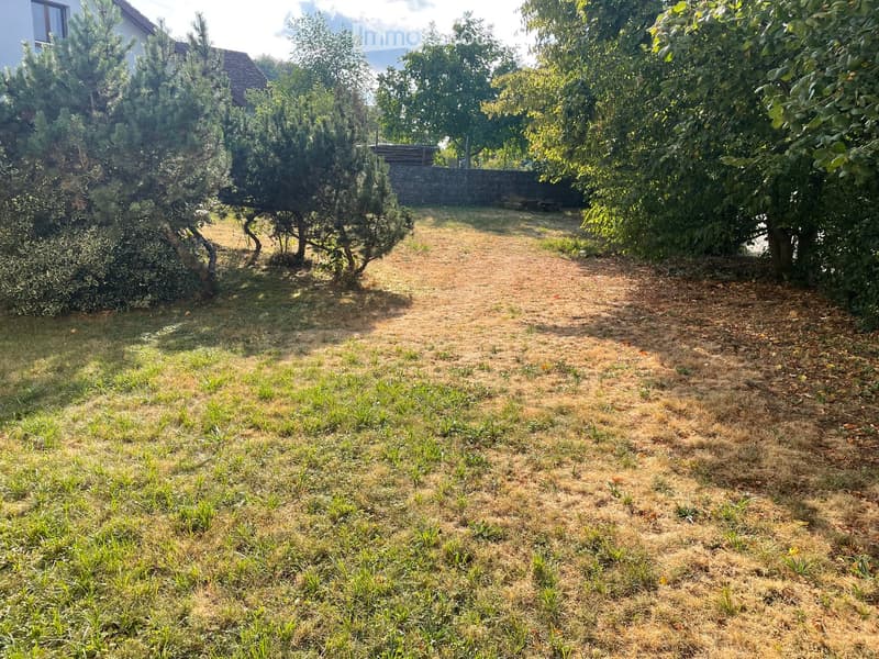 A grassy yard with a dirt pathway leading to a wooden fence, surrounded by trees and shrubs.