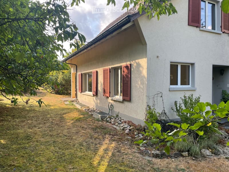 Single-story house with white exterior, red shutters, and a small garden area with grass and plants.