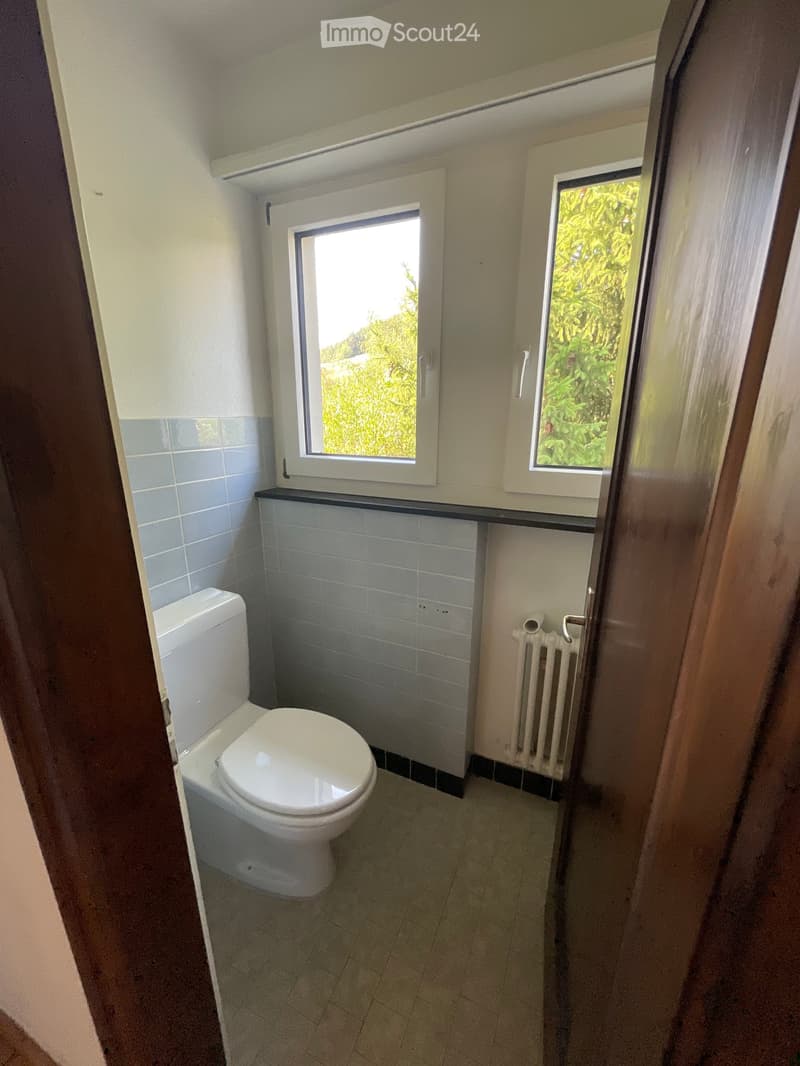 Small bathroom with white toilet, tiled walls, and two windows offering a view of greenery.