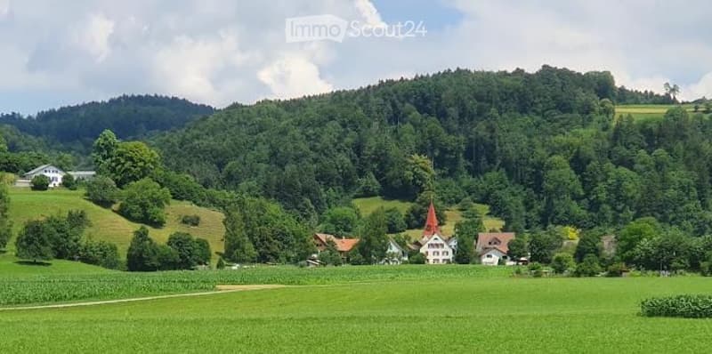 A picturesque rural landscape with rolling green hills, scattered trees, and a small village with traditional houses and a church featuring a red-tiled roof.