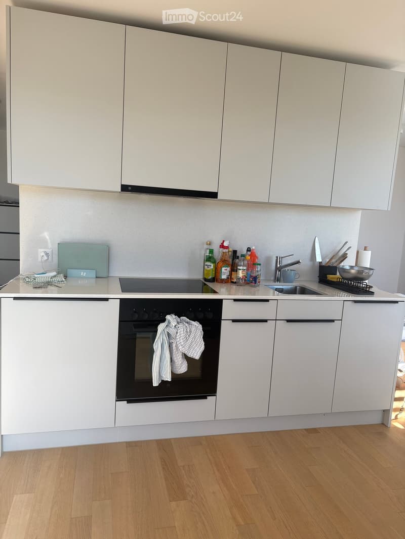 Modern kitchen with white cabinets, stainless steel appliances, and wooden flooring. Features an oven, sink, and various kitchen items on the counter.