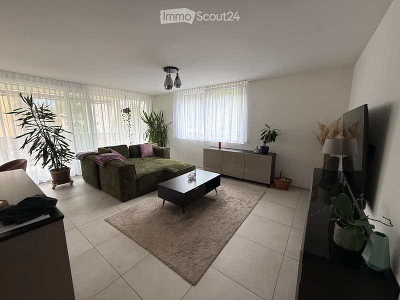 Modern living room with a green sectional sofa, coffee table, side table, and large windows with sheer curtains. Includes a potted plant, a lamp, and a television on a stand.