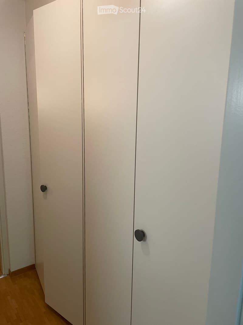 Empty room with light-colored walls, wooden floor, and a closed white closet with two doors.
