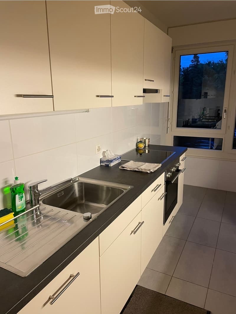 Modern kitchen with white cabinets, black countertop, stainless steel sink, and built-in oven. Features a window with a view of the evening sky.