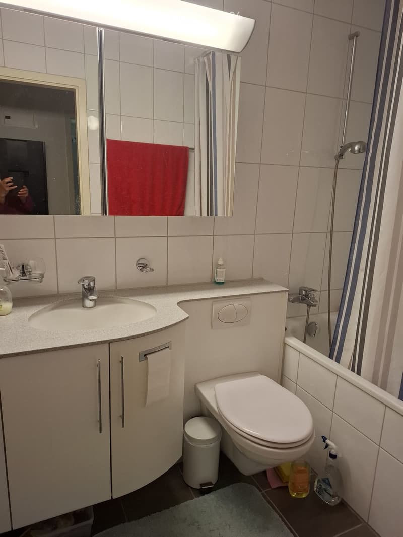 Modern bathroom with a white sink, mirror, toilet, bathtub, and shower curtain. Includes a cabinet, towel, and cleaning supplies.