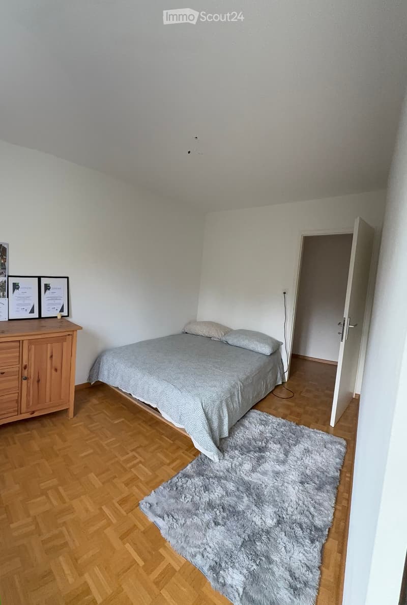A small bedroom with a single bed, wooden floor, shaggy rug, wooden cabinet with framed certificates, and a partially open door leading to another room.