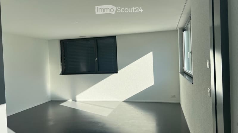Empty room with white walls, dark floor, and two windows with blinds. No furniture or equipment present.