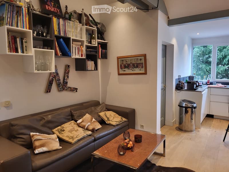 Comme une maison, collocation meublée (6)