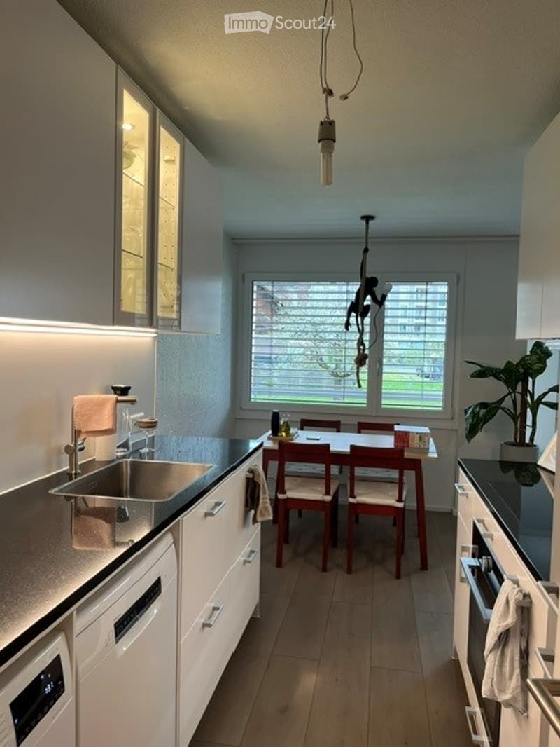 Modern kitchen with white cabinets, stainless steel sink, dishwasher, and a small dining area with a table and chairs. A potted plant is placed near the window, and a light fixture hangs from the ceiling.