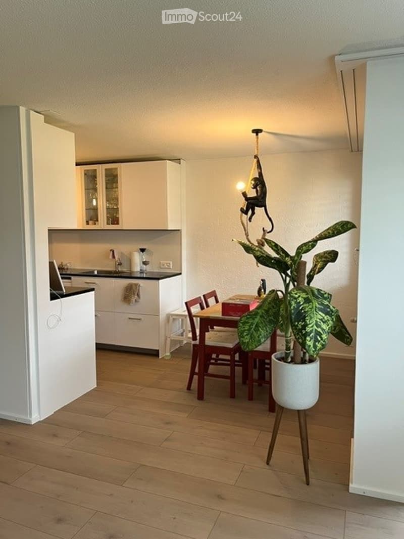 Open-plan kitchen and dining area with white cabinets, a sink, a laptop on the counter, a dining table with chairs, and a large potted plant near the table.