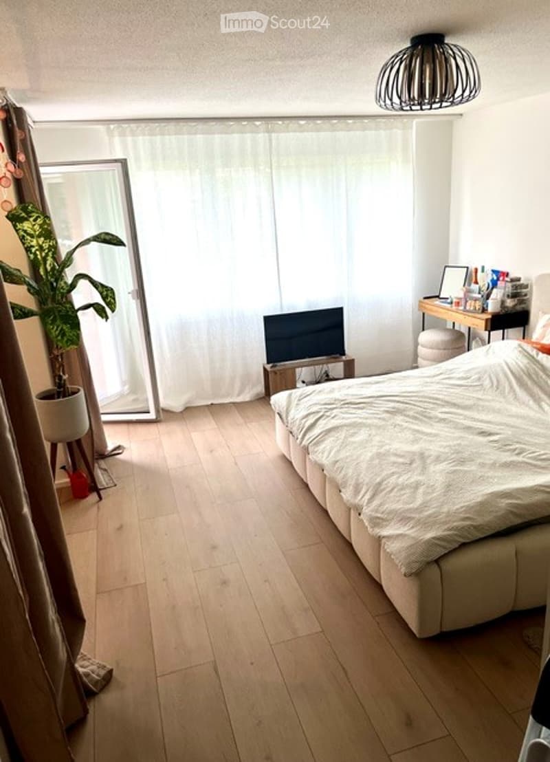 Modern bedroom with light wooden flooring, a large bed with white bedding, a television on a stand, a desk with a chair, and a potted plant near the window.