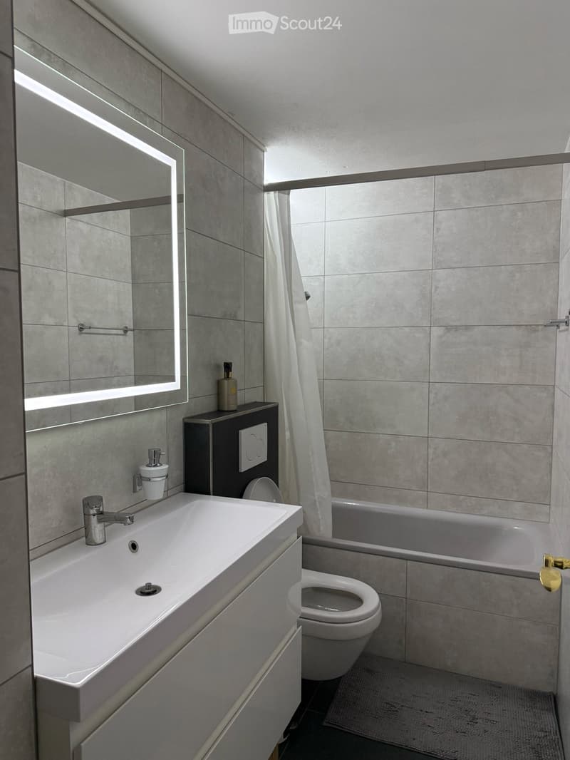 3,5-Zimmer Wohnung in Schaffhausen (5)