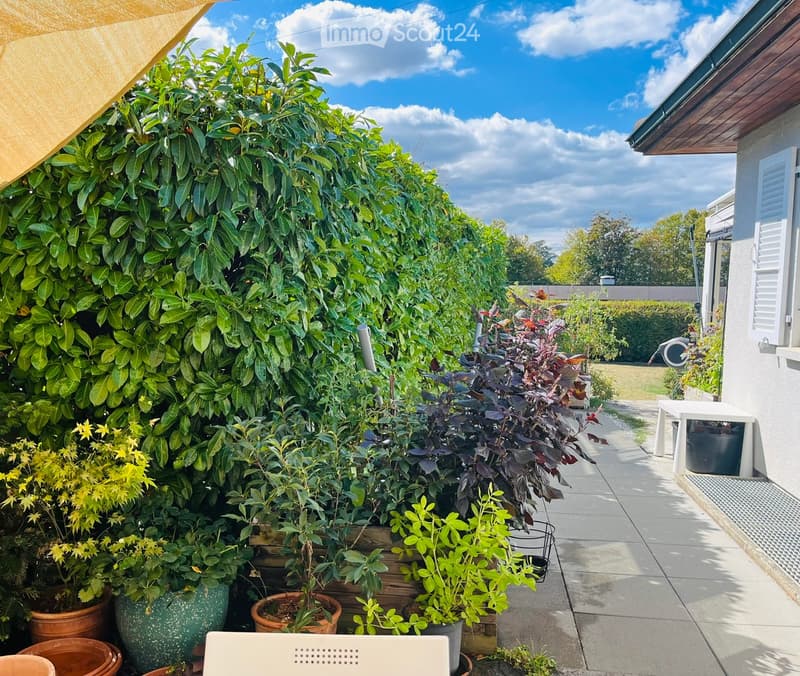 A well-maintained garden area with various potted plants and shrubs, a small table, and a pathway leading to a grassy yard.