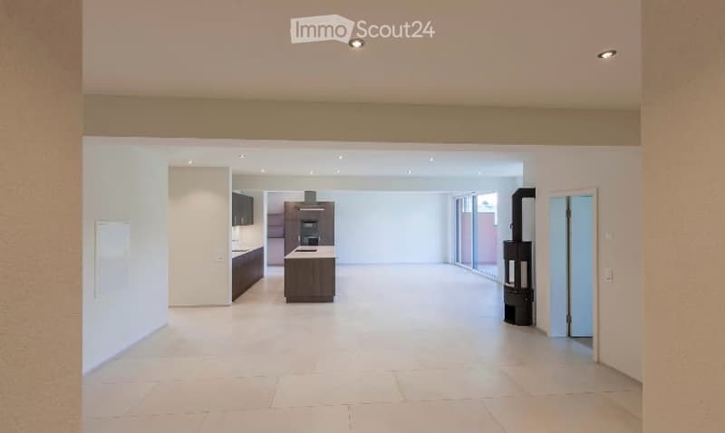 Open-plan space with a modern kitchen area featuring dark cabinets, a central island, and built-in appliances. The living area has large windows and a fireplace, with a clean, minimalist design.