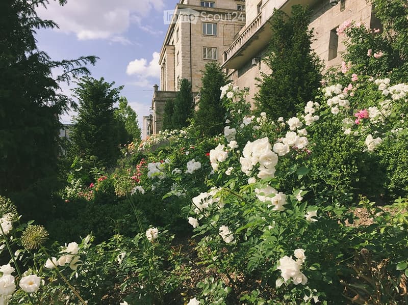 A garden area with white roses and other flowering plants, surrounded by trees and a multi-story building in the background.