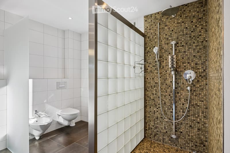 Modern bathroom with white tiles, a toilet, bidet, and a glass-enclosed shower with mosaic tiles and a handheld showerhead.
