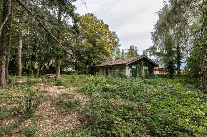 Overgrown garden with a small house partially covered in ivy, surrounded by tall trees and dense vegetation.