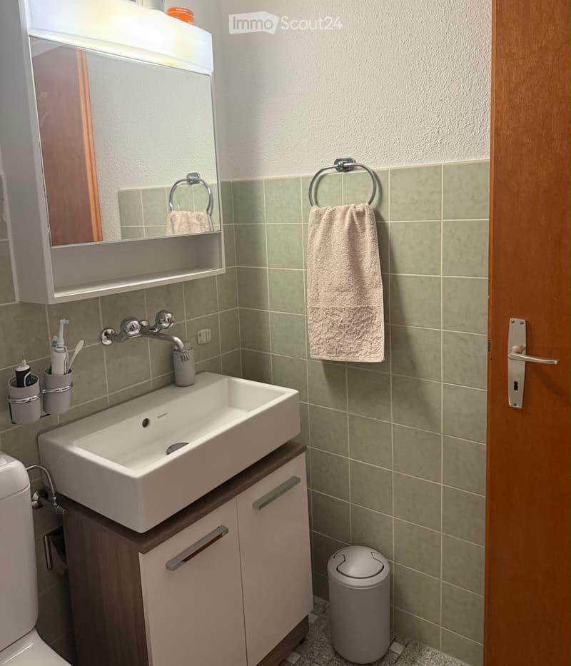 Modern bathroom with a white sink, mirror cabinet, towel ring, and toothbrush holder. The walls are tiled in a light green color, and the floor is covered with a speckled tile pattern.
