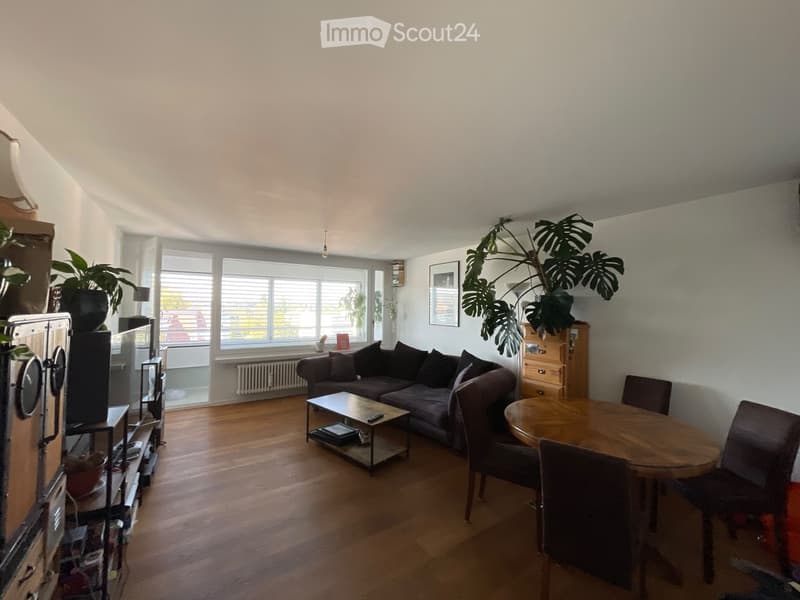 A modern living room with wooden flooring, large windows, a grey sectional sofa, a coffee table, a dining table with chairs, and potted plants.