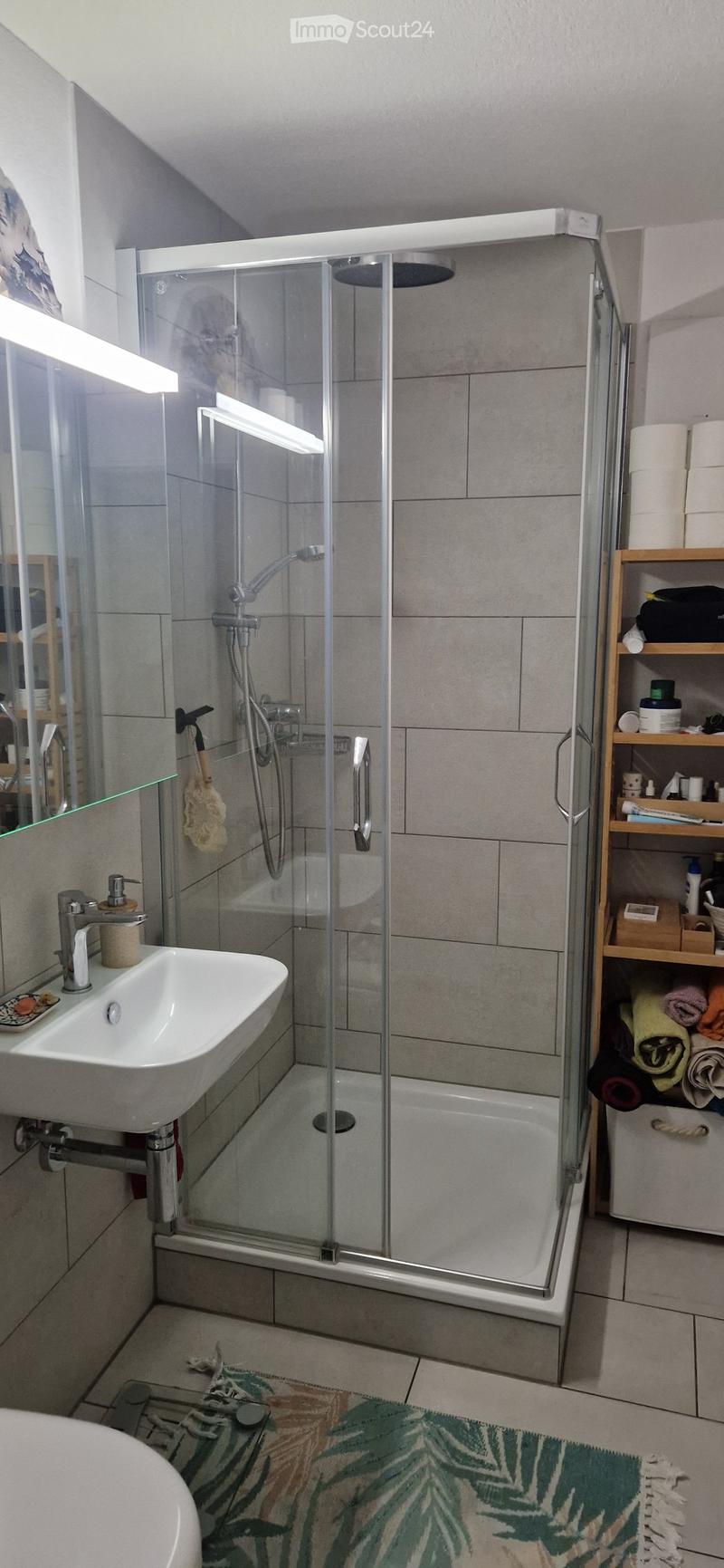 Modern bathroom with a glass-enclosed shower, a white sink with a modern faucet, a wooden shelf holding towels and toiletries, and a decorative rug on the floor.