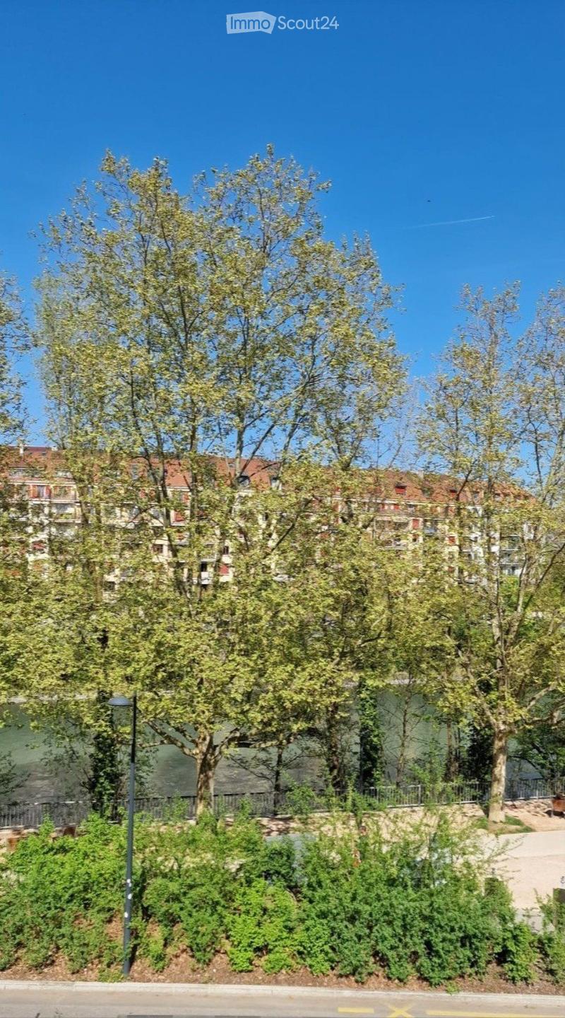 A park-like area with mature trees, shrubs, and a paved walkway, with residential buildings visible in the background.