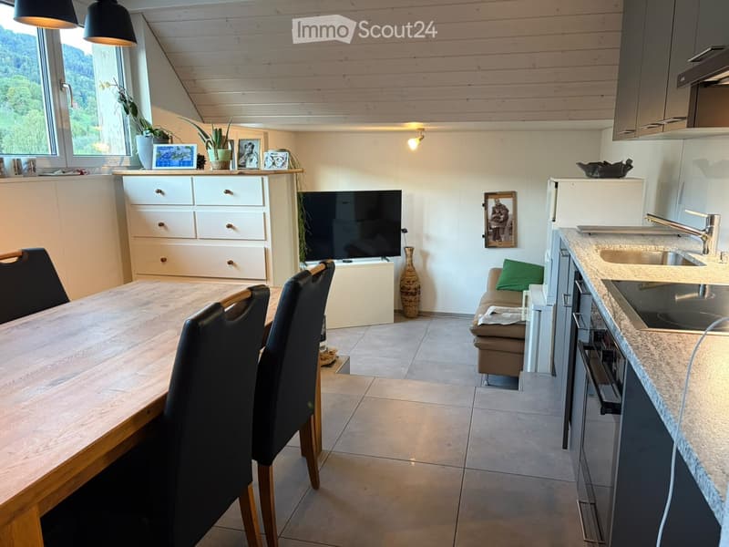 Open-plan living and dining area with a wooden dining table, black chairs, a sofa, a television, a kitchen area with a sink, faucet, refrigerator, and oven, and decorative items including a vase and picture frames.