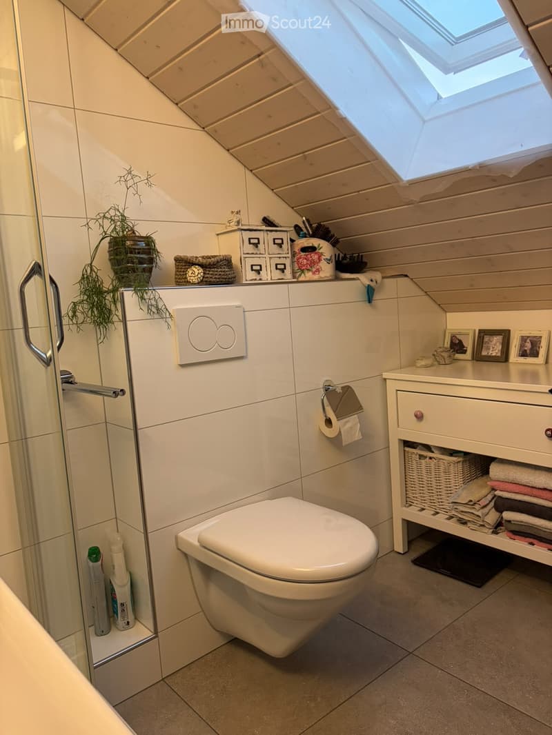 Modern bathroom with a toilet, sink, mirror, towel rack, and decorative items including a plant and picture frames.