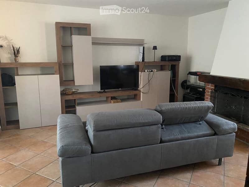 Modern living room with a grey sofa, television, wooden shelves, and a fireplace.