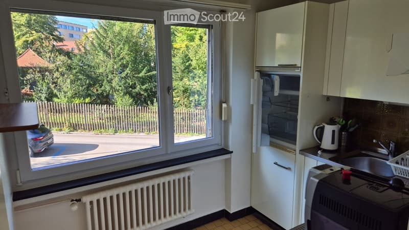 Modern kitchen with white cabinets, a refrigerator, a sink, and a microwave. The window offers a view of a green area with trees and a parked car.