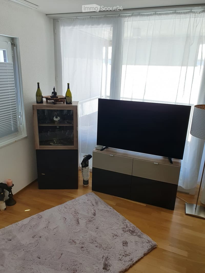 Modern living room with large windows, wooden flooring, a plush white rug, a television on a cabinet, a side table with decorative items, and a floor lamp.
