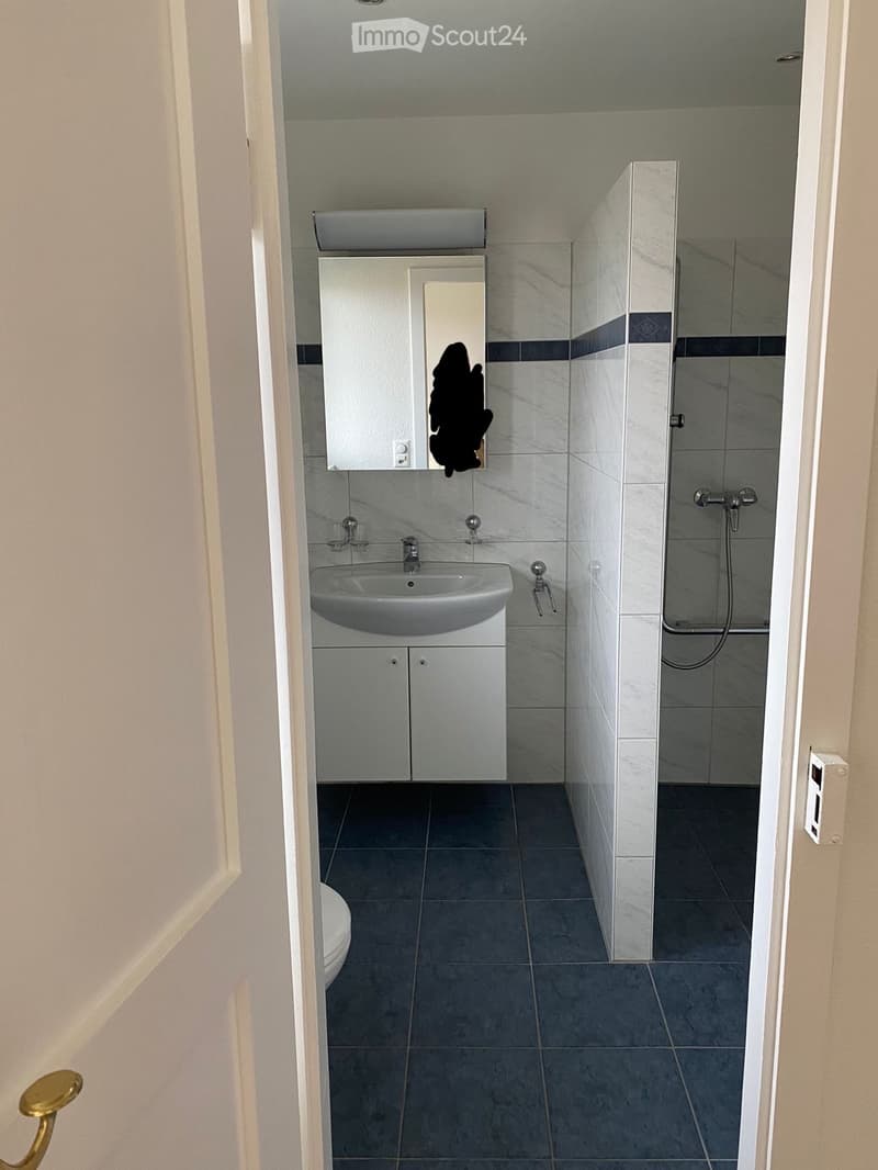 Modern bathroom with a white sink, faucet, cabinet, mirror, toilet, and a glass-enclosed shower area.