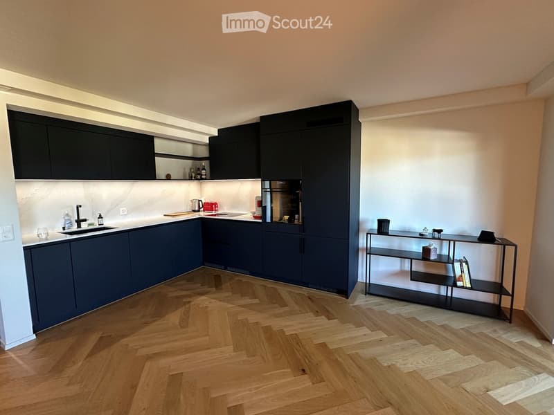 Modern kitchen with dark blue cabinets, wooden herringbone flooring, and a sleek black shelf unit holding books and decorative items.