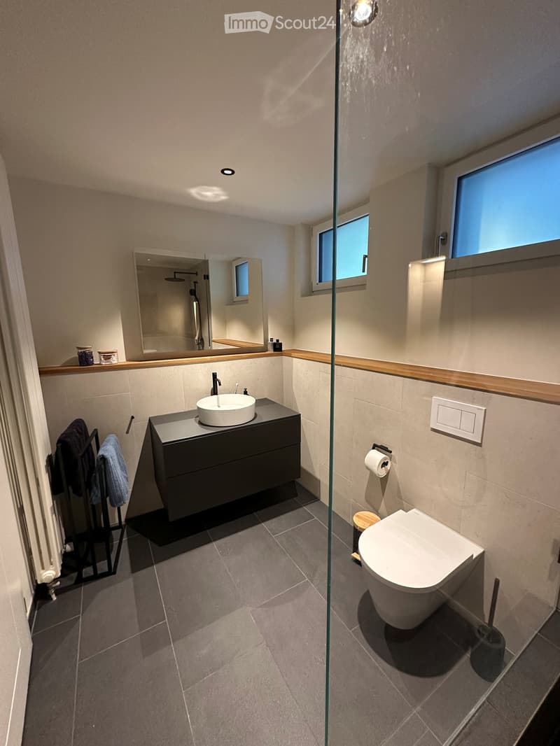 Modern bathroom with a dark vanity, white sink, toilet, large mirror, and towel rack. Features recessed lighting and a glass shower enclosure.