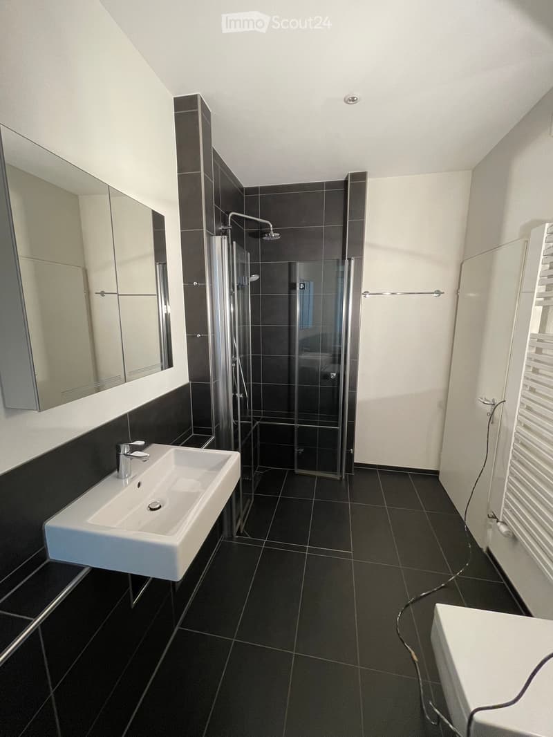 Modern bathroom with black tiles, white sink, large mirror, and glass-enclosed shower area.