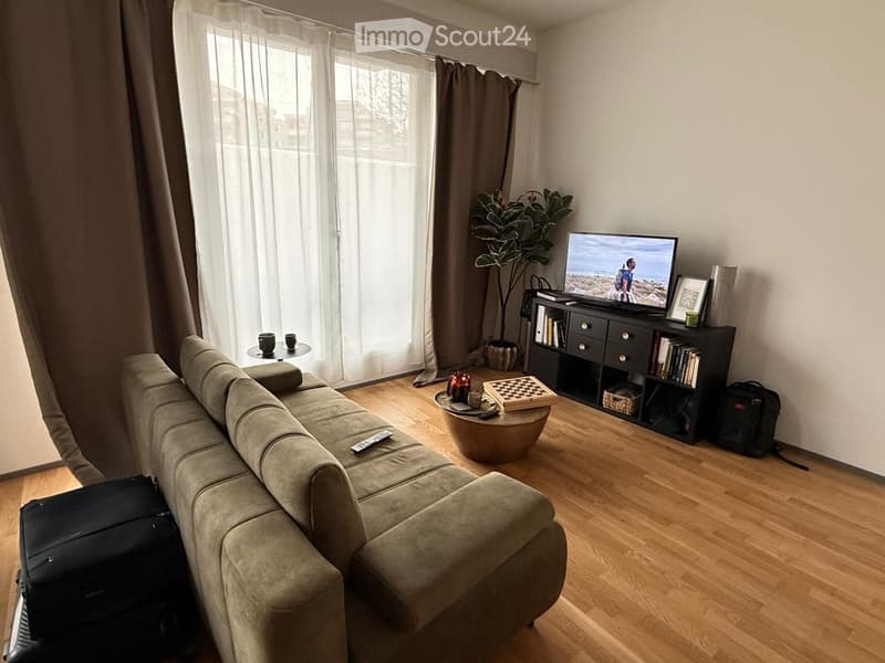 Modern living room with a grey sectional sofa, coffee table, television, bookshelf, and a potted plant near the window.